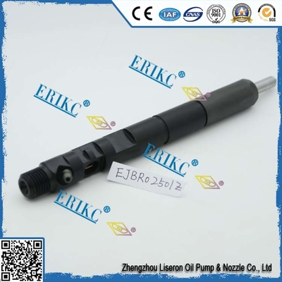 China EJBR0 2501D fuel injector manufacture EJBR02501D and EJB R02501D supplier