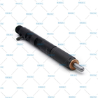 EJBR05102D (28232251) Diesel Common Rail Injector delphi R05102D injector rebuild 5102D for DACIA