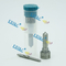 ERIKC L137PBD delphi injector nozzle DSLA 158 FL 137 fuel injection EJBR03701D 33801-4X810 33801-4X800 nozzle supplier