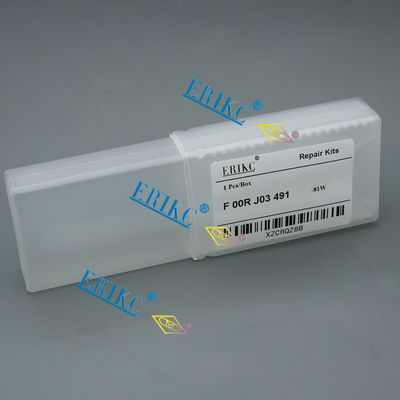 For BOS Injector Repair Kit F OOR J03 491 (FOORJ03491) For BOS injektor Repair Kit FOOR J03 491
