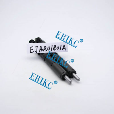 NISSAN assy fuel EJBR01801A ,For Renau EJB R01801A For Delp  injectors 82 00 365 186 EJBR0 1801A) for  NISSAN For Renau