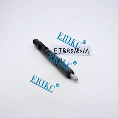 NISSAN assy fuel EJBR01801A ,For Renau EJB R01801A For Delp  injectors 82 00 365 186 EJBR0 1801A) for  NISSAN For Renau