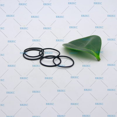 silicone sealing ring E1024011 Solenoid valve rubber o ring / bosch sealing o-ring