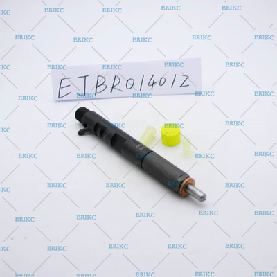 EJBR01401Z injector ejbr EJB R01401Z delphi original and new injector EJBR0 1401Z for Renault DACIA NISSAN SUZUKI