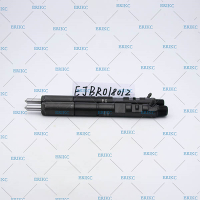 high pressure injector delphi EJBR01801Z (8200049873) injektor diesel EJB R01801Z / EJBR0 1801Z for NISSAN for Renault