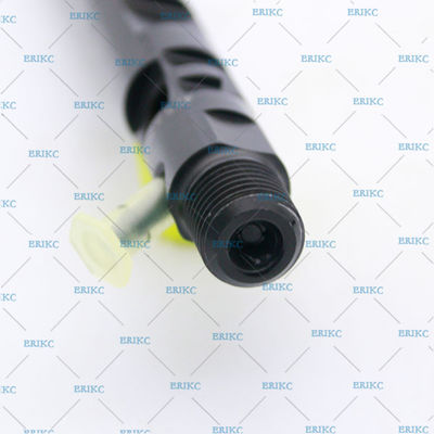 For Renau injector For Delp EJBRO1701Z diesel fuel injector EJB RO1701Z for sale 1701Z  For Delp  injector
