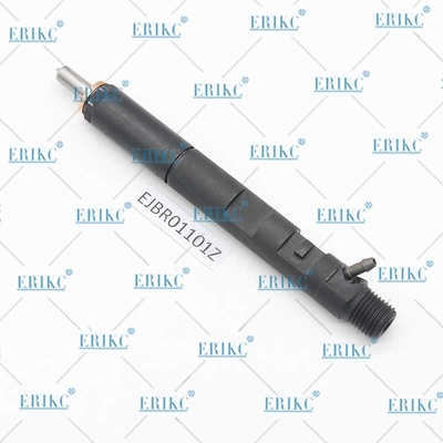 ERIKC EJBR01101Z Electronic Unit Injectors EJB R01101Z Auto Fuel Injection EJBR0 1101Z for Delphi