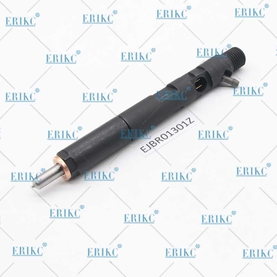 ERIKC EJBR0 1301Z Diesel Fuel Injector EJB R01301Z Oil Jet Injector EJBR01301Z Truck Injection