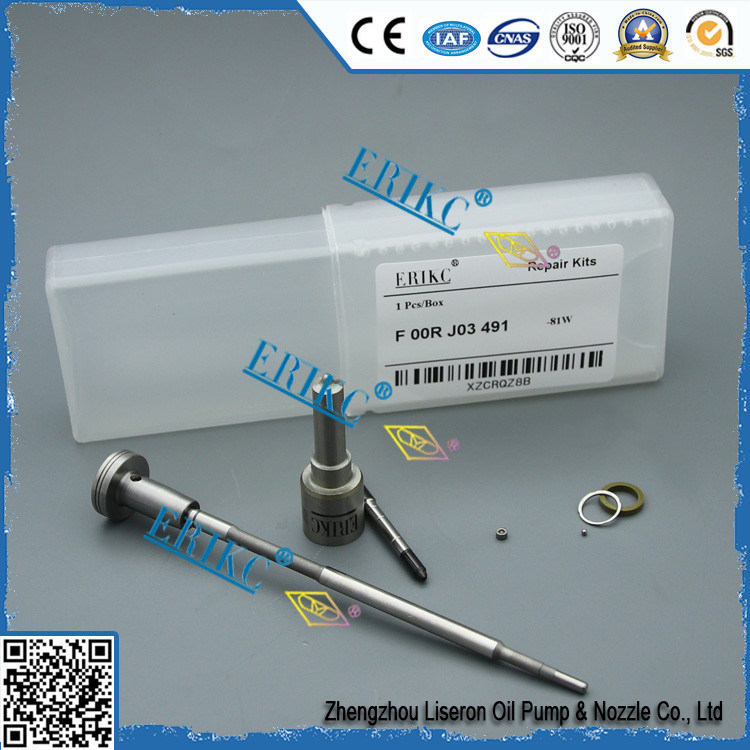 For BOS Injector Repair Kit F OOR J03 491 (FOORJ03491) For BOS injektor Repair Kit FOOR J03 491